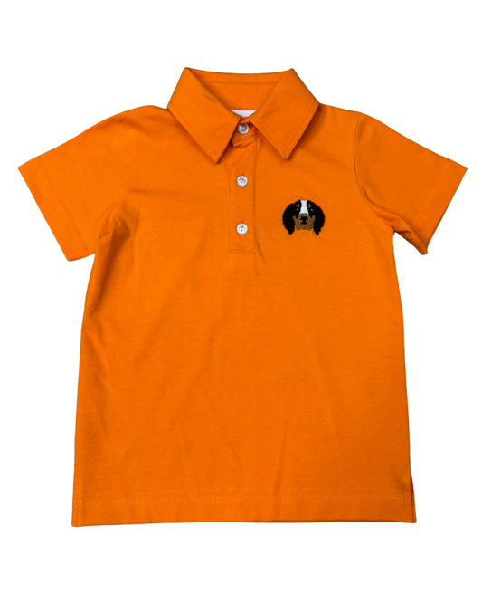 Polo | Orange & White Dog